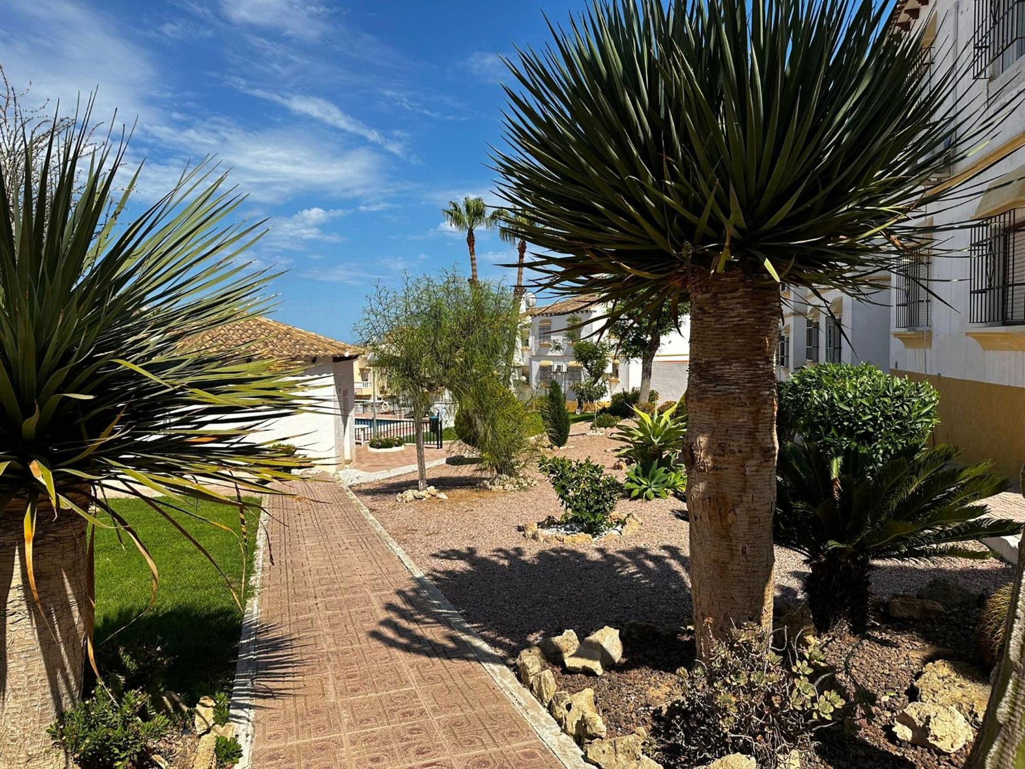 Las Carolinas Residence With Pool San Miguel De Salinas Exterior photo